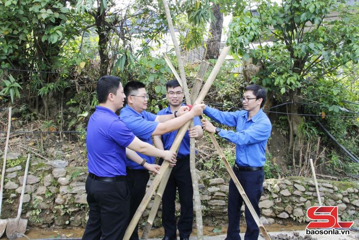 Đoàn viên các chi đoàn tham gia trồng cây xà cừ quanh khuôn viên Nhà văn hóa bản San. 