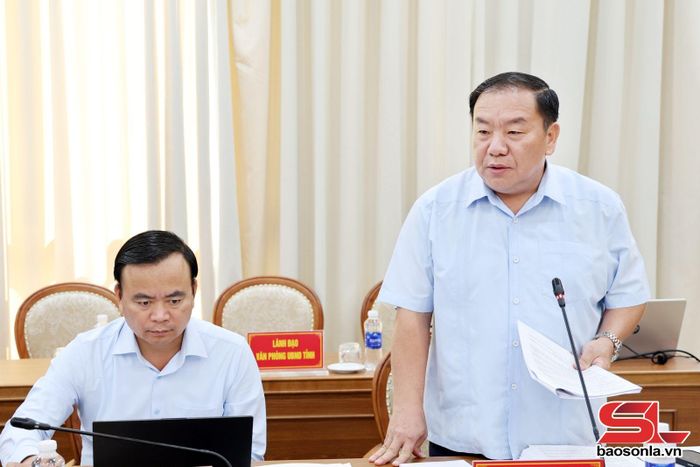 Đồng chí Phó Bí thư Tỉnh ủy phát biểu tại hội nghị.