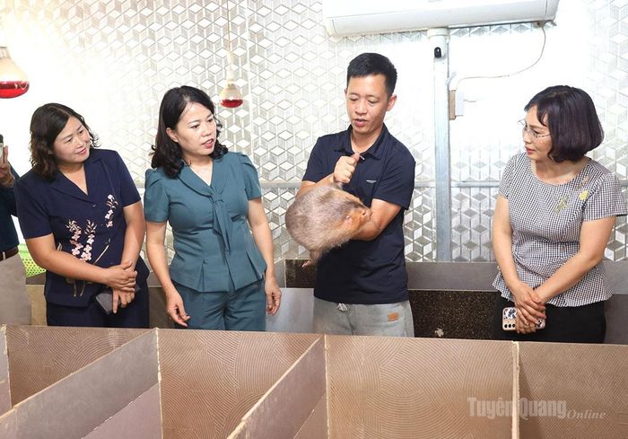 Đồng chí Lý Thị Lan thăm mô hình nuôi dúi Má đào của gia đình anh Thượng Duy Tấn, thôn Mịch B (xã Thuận Hòa).