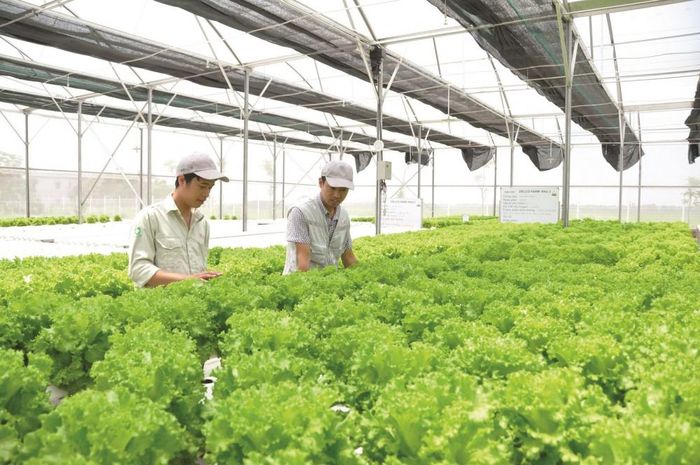 Người nông dân ngày càng chủ động ứng dụng khoa học công nghệ, nâng cao giá trị sản xuất nông nghiệp