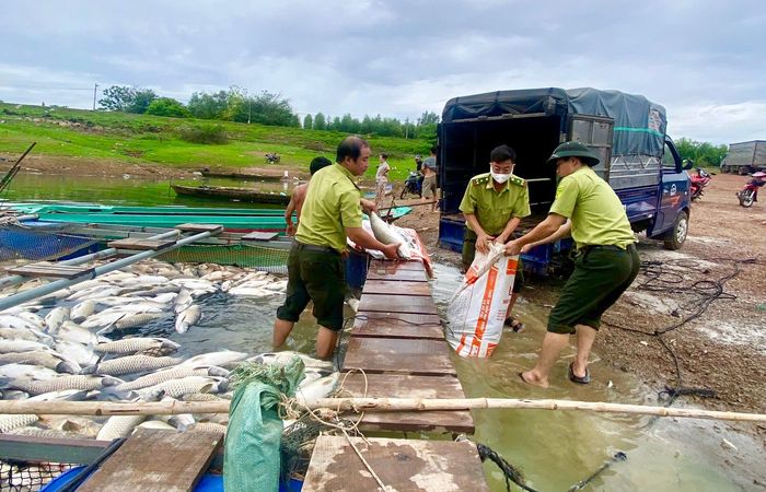 Lực lượng chức năng hỗ trợ người dân cùng xử lý cá chết. Ảnh: Thịnh Lê