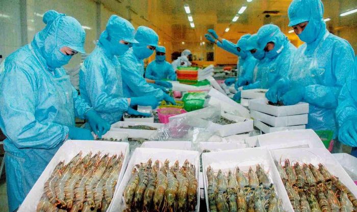Phát triển công nghiệp chế biến sâu được xem là “chìa khóa” để nâng cao giá trị gia tăng cho nông sản Việt
