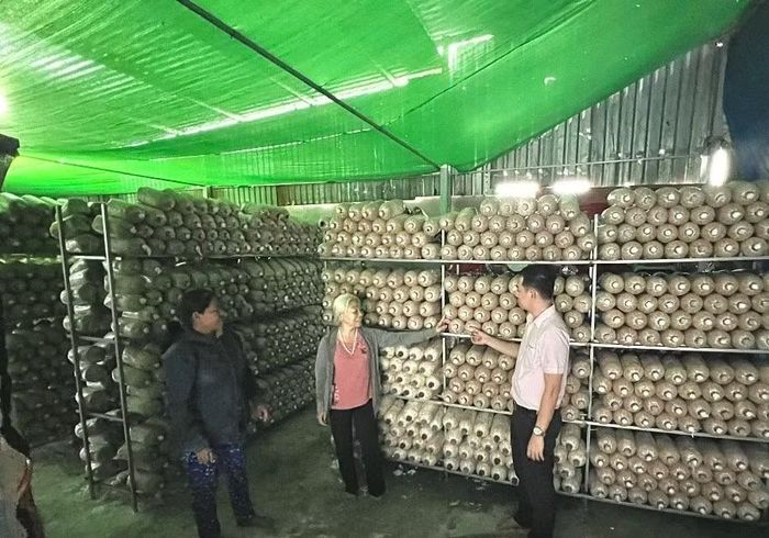 Mô hình trồng nấm có hiệu quả của một trường hợp chấp hành xong án phạt tù được vay vốn tại Đồng Nai.