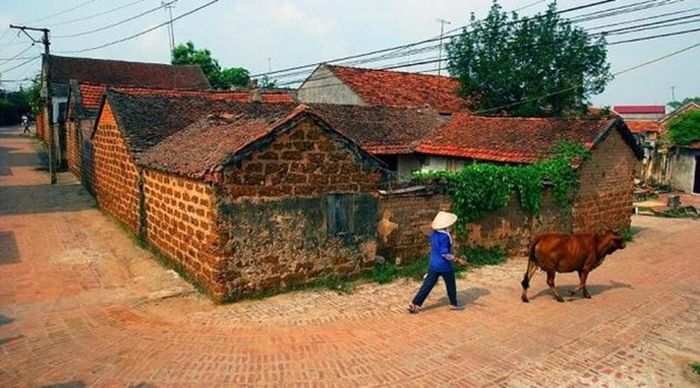 Hình mang tính minh họa. Nguồn: Internet
