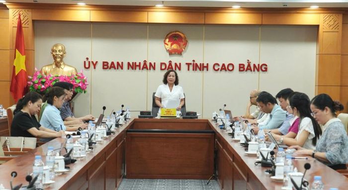 Phó Chủ tịch UBND tỉnh Hà Nhật Lệ phát biểu kết luận cuộc họp.
