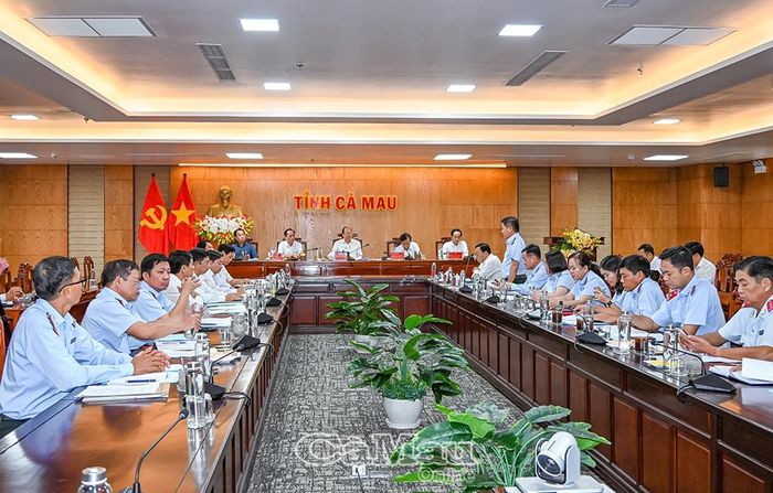 Đại biểu tham dự buổi làm việc.