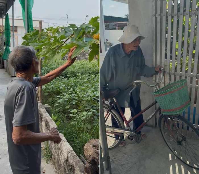 Cụ ông khá minh mẫn, có thể làm vườn, đạp xe quanh xóm làng, đi chợ.