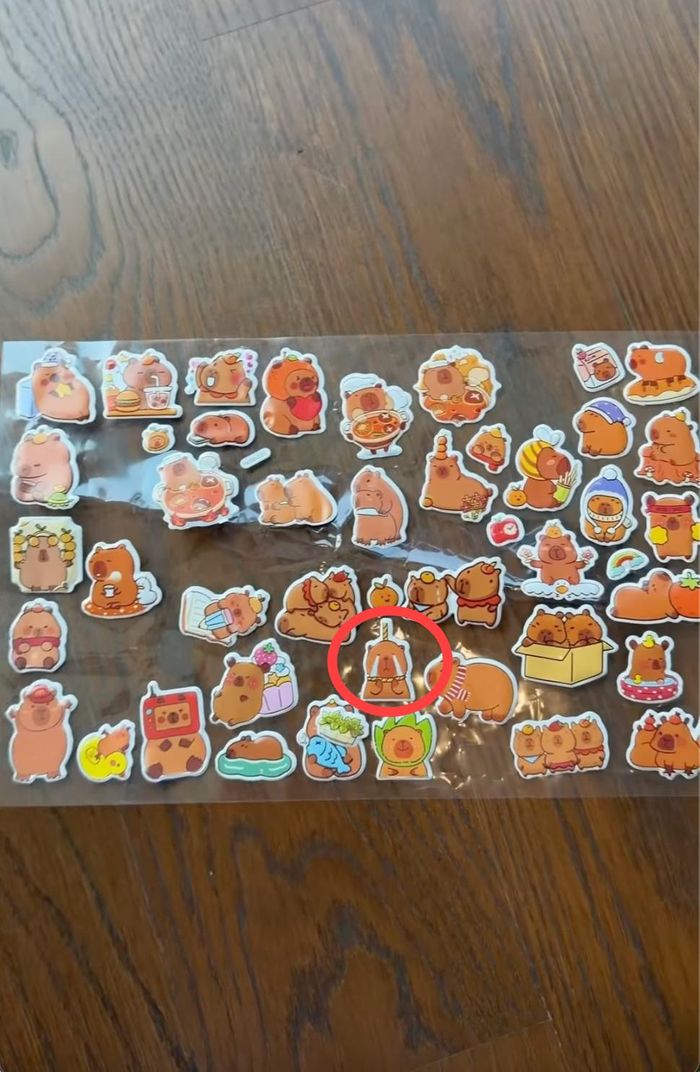 Trong tờ đồ chơi của Sam mua cho con còn có ảnh Capybara treo cổ.