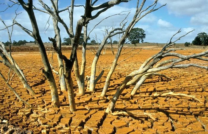 Dự báo, hiện tượng El Nino có khả năng xuất hiện từ khoảng tháng 6/2026. Ảnh minh họa