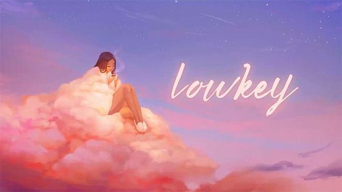 Từ "lowkey" được giới trẻ dùng chỉ những người không thường đăng hình lên mạng xã hội. (Ảnh: iStock)