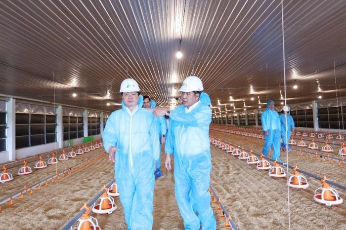 Chủ tịch HĐQT Tập đoàn Hùng Nhơn Vũ Mạnh Hùng trình bày tổng quan về dự án.