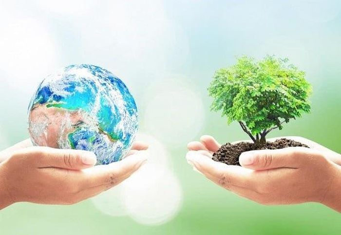 Chuỗi sự kiện năm nay có chủ đề xuyên suốt là “Toàn cầu chung tay hành động vì khí hậu”. Ảnh minh họa