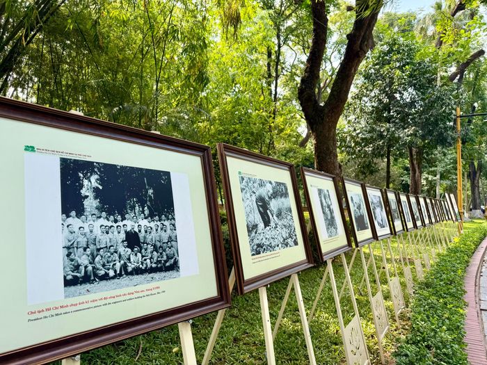Một góc triển lãm ảnh "115 ảnh hoạt động của Chủ tịch Hồ Chí Minh trong Khu Phủ Chủ tịch". Ảnh: Thụy Du