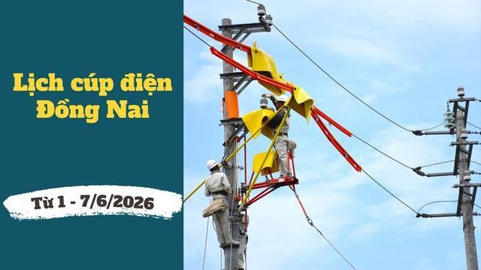 Lịch cúp điện Đồng Nai hôm nay đến hết tuần được cập nhật tại website của Tổng công ty Điện lực miền Nam (EVNSPC).