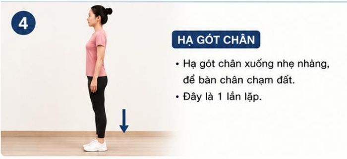 Cách thực hiện động tác nhún gót chân trong Bát Đoạn Cẩm.