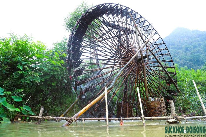 Cọn nước được làm chủ yếu từ tre, nứa, gỗ và dây mây, thể hiện sự khéo léo cùng kinh nghiệm tích lũy qua nhiều thế hệ của người Thái.