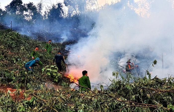 Các địa phương được yêu cầu tăng cường kiểm tra, rà soát phương án phòng cháy chữa cháy rừng