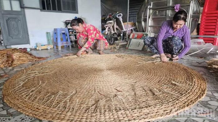 Hợp tác xã Thanh Tú, xã Vị Thủy, thành phố Cần Thơ tạo việc làm ổn định cho lao động nông thôn.