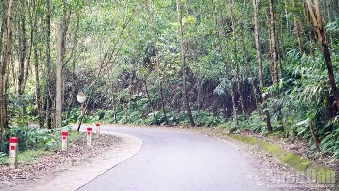 Đoạn qua đèo Eo Gió rất chật hẹp, đồi dốc nên tiềm ẩn rất lớn về nguy cơ tai nạn.
