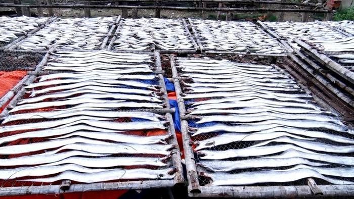 Dưới cái nắng đặc trưng của vùng biển Long Hải, hàng trăm giàn cá phơi tạo nên hình ảnh quen thuộc của làng chài.