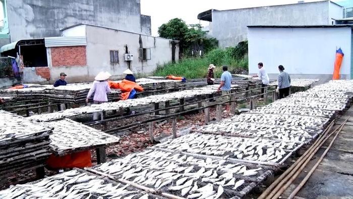 Nắng gió Long Hải góp phần tạo nên hương vị đặc trưng cho những mẻ cá khô.