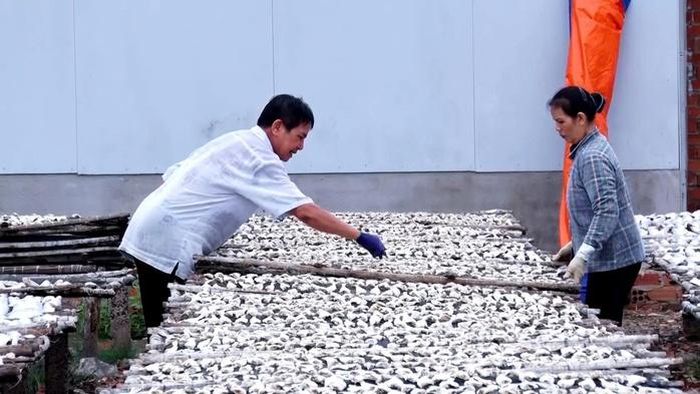 Người dân Long Hải bền bỉ giữ nghề làm cá khô qua nhiều thế hệ.
