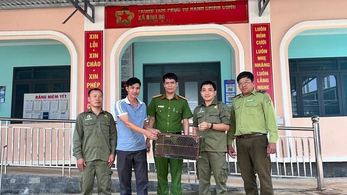 Các con vượn đã được bàn giao cho trung tâm cứu hộ động vật