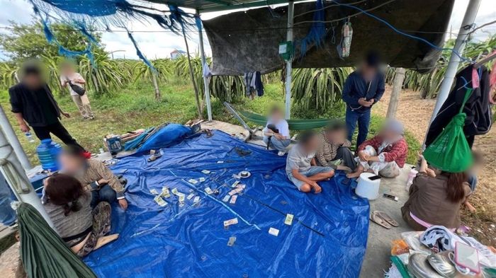 Các đối tượng đánh bạc bị bắt giữ tại hiện trường.