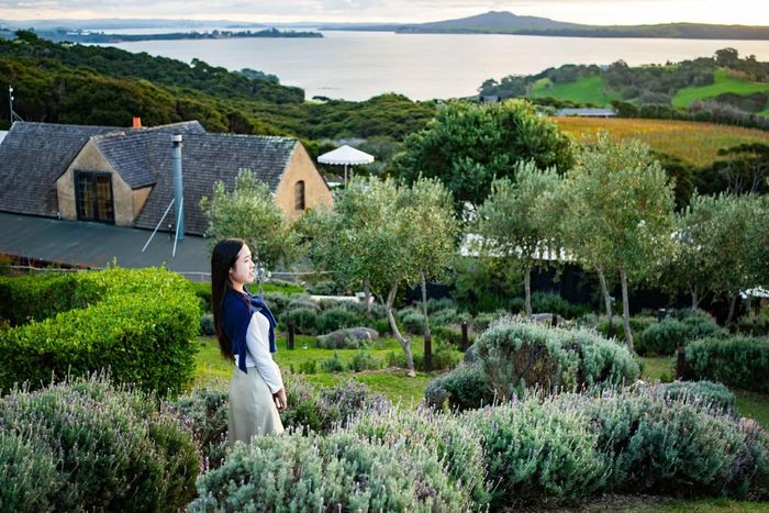 Thùy Nhung khám phá vẻ đẹp thiên nhiên trong lành và những cảnh quan ấn tượng của New Zealand.
