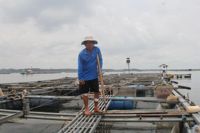 Ông Nguyễn Văn Mạnh thẫn thờ bên bè cá của gia đình