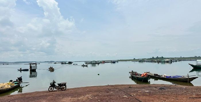 Khu vực nuôi cá bè trên hồ Trị An