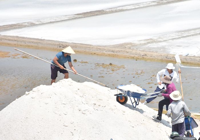  Người dân làm muối tại cánh đồng muối An Ngãi, xã Long Điền, TPHCM 