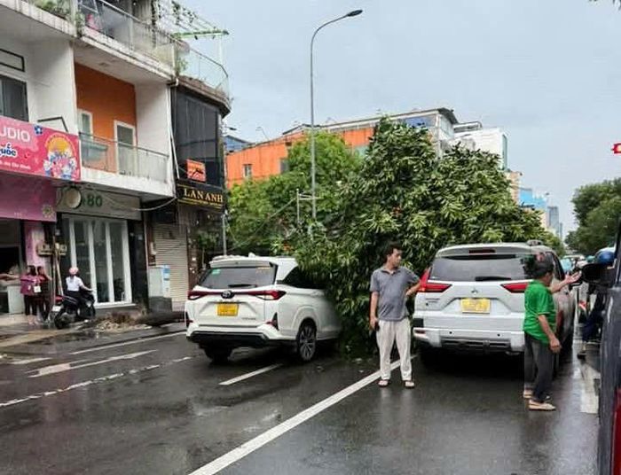  Cây xanh bật gốc đè 2 ô tô 