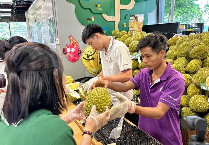 Đơn vị tổ chức đã chuẩn bị gần 3 tấn sầu riêng để phục vụ cho sự kiện trong 2 ngày.