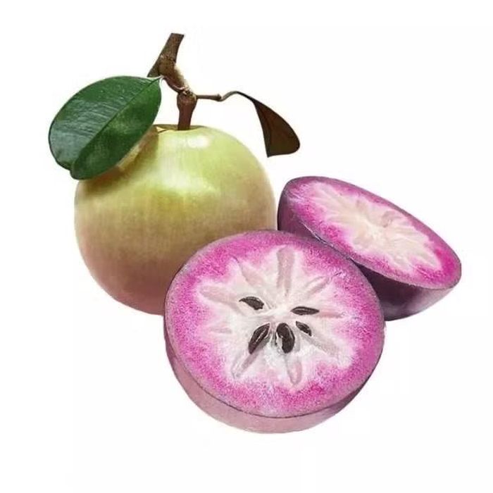 Ảnh: Wikimedia Commons. kingfoodmart 