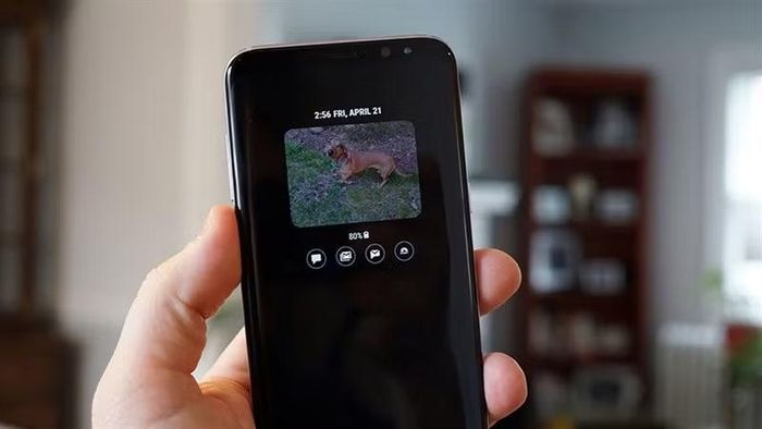 Giới quan sát cho rằng quyết định khai tử 3D Touch không chỉ liên quan đến tỷ lệ sử dụng thấp mà còn xuất phát từ chi phí sản xuất cao, trong khi Apple muốn dành không gian bên trong thiết bị cho các nâng cấp quan trọng hơn như pin lớn hơn, màn hình Always-On Display hay công nghệ ProMotion.