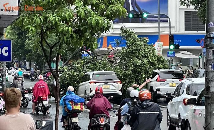 Sự cố khiến giao thông qua khu vực bị ùn tắc
