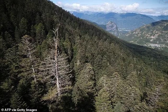 Dãy Pyrenees.
