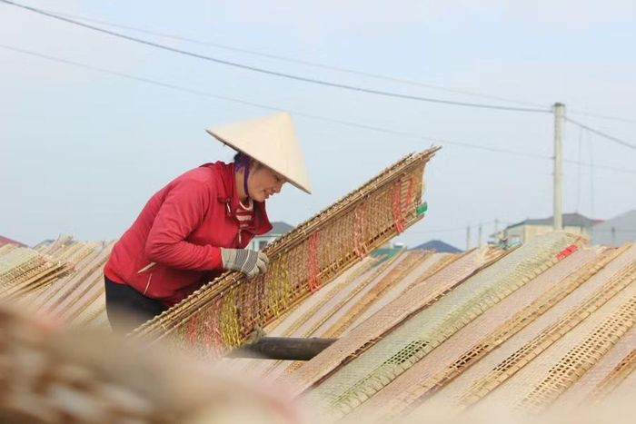 Hà Tĩnh đặt mục tiêu đào tạo hơn 10.000 lao động nông thôn giai đoạn 2026-2030.
