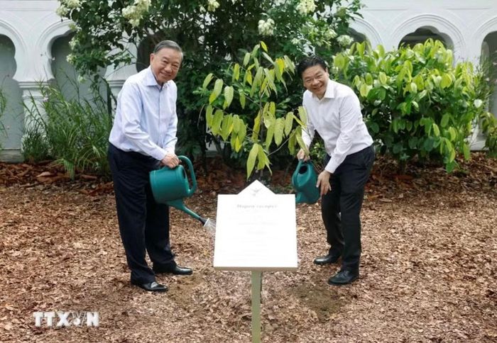 Tổng Bí thư, Chủ tịch nước Tô Lâm và Thủ tướng Singapore Lawrence Wong cùng trồng cây trong Vườn Bách thảo Singapore. Ảnh: TTXVN.
