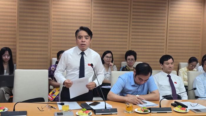 Đại biểu Trần Khánh Hưng phát biểu tại phiên thảo luận tổ.