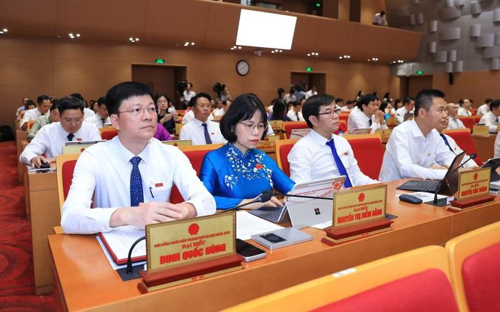 Các đại biểu dự kỳ họp.
