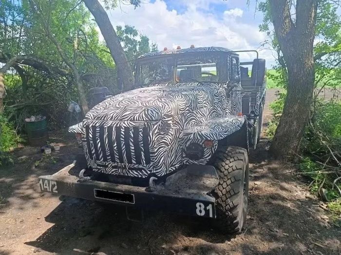 Xe tải Ural của Nga được sơn họa tiết lá cây. Nguồn: TMZ.