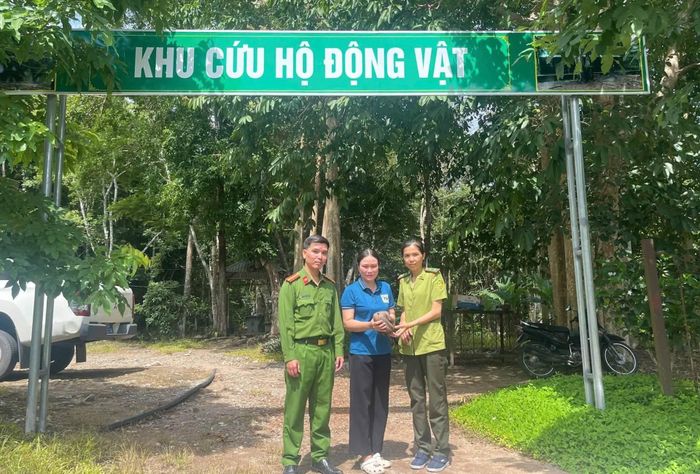 Công an xã Sa Loong phối hợp thả tê tê quý hiếm về Vườn Quốc gia Chư Mom Ray.