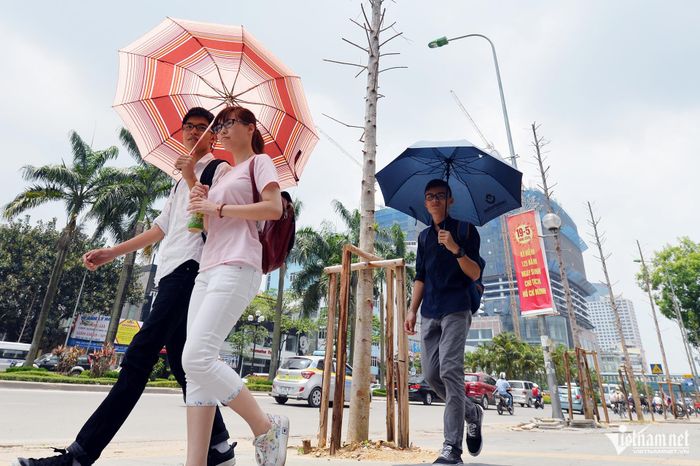 Mùa hè 2026, miền Bắc và Trung Bộ có thể xuất hiện nắng nóng cực đoan. Ảnh: Nam Khánh