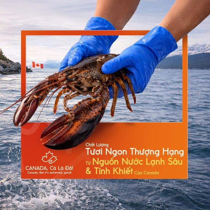 Hải sản Canada được quản lý theo hướng bền vững với chất lượng ổn định