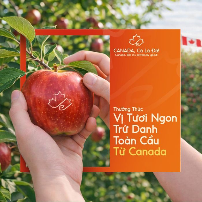Trái cây Canada được trồng trong điều kiện khí hậu đặc trưng giúp giảm thiểu sâu bệnh
