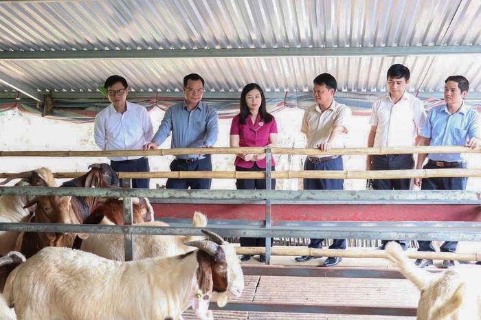 Bộ trưởng Nguyễn Đình Khang tham quan mô hình nuôi dê tại thôn Nà Hà, xã Chiến Thắng. Ảnh: Báo Lạng Sơn