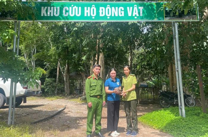 Cá thể tê tê Java được bàn giao cho Vườn quốc gia Chư Mom Ray để chăm sóc, thả về tự nhiên. Ảnh: N.X