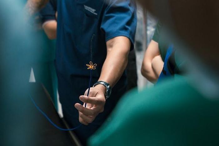 Khác với các phương pháp truyền thống, PFA sử dụng các xung điện cường độ cao trong thời gian cực ngắn để tạo ra hiện tượng điện xuyên màng tế bào không hồi phục.